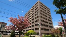 ウェリス円山南４条シティハウス