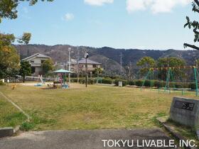 Image 36