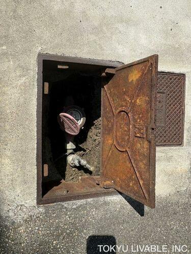 Image 11