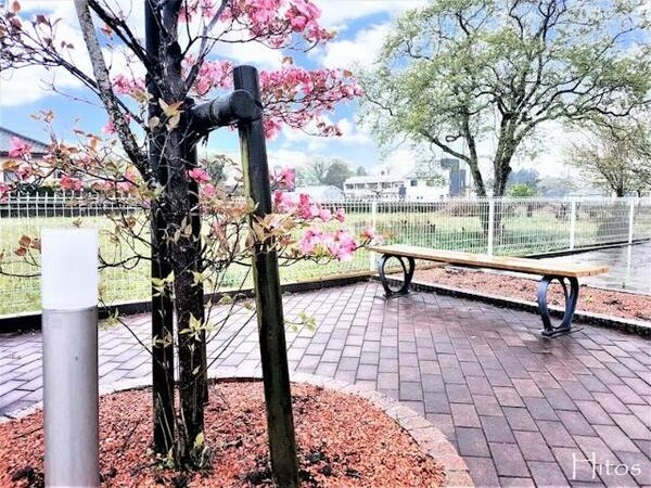 apartment 茨城県つくば市研究学園５丁目５－１３ ファースト・ラフィーネ・学園１Ｆ