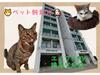 アーバンハイム東 6階 築41年10ヶ月の賃貸物件