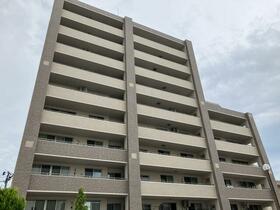 サンデュエル白虎