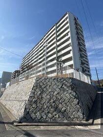 五日市ヒューマンズ