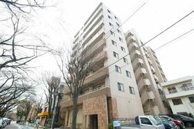 サンアリーナ相模原西門桜通り