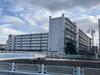 駈上住宅Ａ棟 1階 築57年2ヶ月の賃貸物件