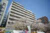 サンライト南浦和二番館 7階 築39年5ヶ月の賃貸物件