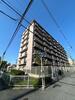 CASSIA南住吉 8階 築29年6ヶ月の賃貸物件