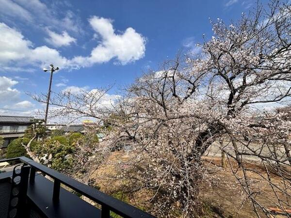 detached 埼玉県戸田市笹目６丁目
地図を見る