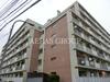 行徳マンション 2階 築53年4ヶ月の賃貸物件