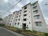 塩屋住宅２号棟 2階 築53年4ヶ月の賃貸物件
