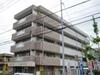 アミュゾン菱川 2階 築32年6ヶ月の賃貸物件