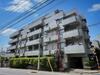 オーロヴェルデ田園調布 2階 築36年5ヶ月の賃貸物件
