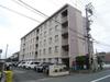 諏訪ハイツ 4階 築44年3ヶ月の賃貸物件