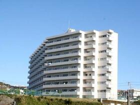 サンフラワー勝浦