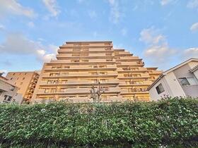 アメニクス川口