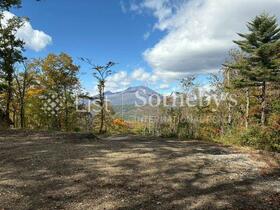 長野県北佐久郡軽井沢町大字軽井沢