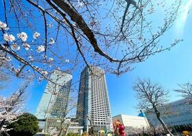 Ｂｒｉｌｌｉａタワー東京