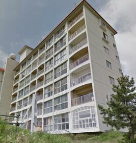 シャンドリーム