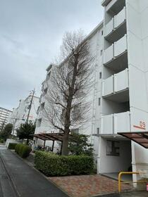 東急ドエル新検見川ビレジ９号棟