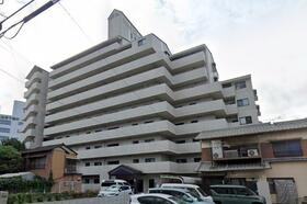 マリオンスーイング