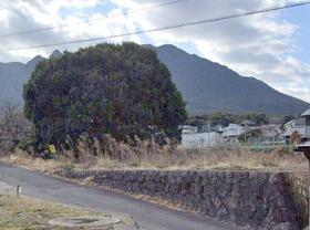 長崎県島原市新山１丁目