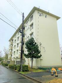 金杉台団地２−２−６