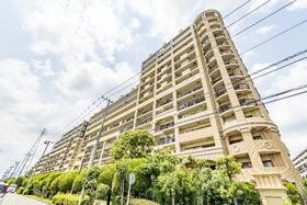 レイディアントシティ向ヶ丘遊園フランス街区