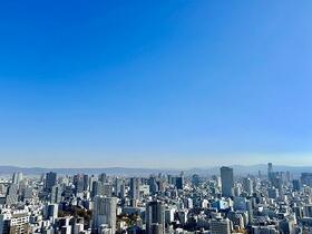 ザ・パークハウス中之島タワー