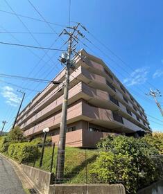 大磯丘の上テラス