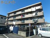 Ｍ・アリージェンスのイメージ