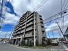 サンローレル 5階 築31年6ヶ月の賃貸物件
