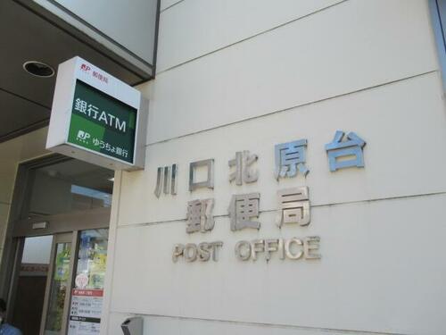 Image 11