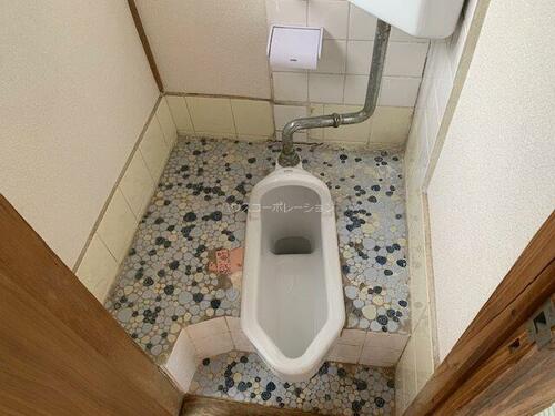 宮崎文化_その他_11