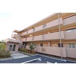 Ｌｏｔｏｓ　ＢｌｕｍｅⅡのイメージ