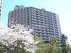 六本木ビュータワー 11階 築33年の賃貸物件