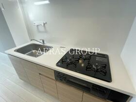 アイルプレミアム西新宿 205 ｜ 東京都新宿区西新宿８丁目（賃貸マンション1LDK・2階・40.90㎡） その12