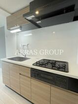 アイルプレミアム西新宿 205 ｜ 東京都新宿区西新宿８丁目（賃貸マンション1LDK・2階・40.90㎡） その13