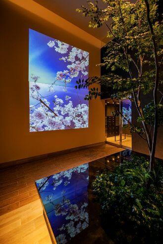 apartment 埼玉県戸田市大字新曽
地図を見る