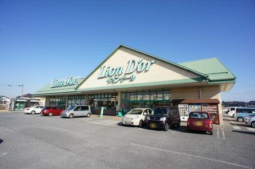 その他画像：■周辺施設(2)■　スーパーのリオンドール高根沢東店まで徒歩８分（６００ｍ）♪（営業時間）９：００…