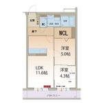 Ｍｒ　コルトレーンのイメージ