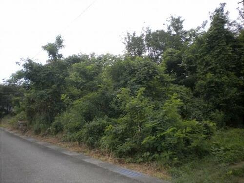 Land, Hodatsushimizu Town, Ishikawa