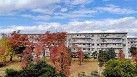 真砂一丁目団地