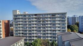 光が丘パークタウンゆりの木通り北