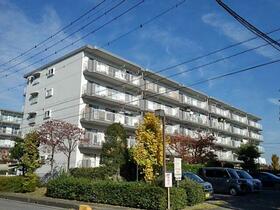 東鷲宮ニュータウン駅前通り