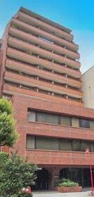 ハイネスロフティー