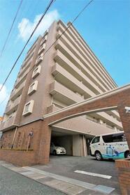 ディークラディア葵東