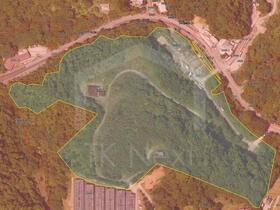 沖縄県国頭郡本部町字伊豆味