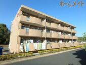 Ｌｏｔｏｓ　ＢｌｕｍｅⅠのイメージ