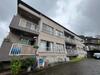 石井ハイツ 1階 築42年7ヶ月の賃貸物件