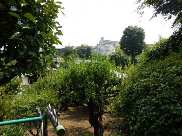 detached 埼玉県和光市下新倉４丁目

地図を見る